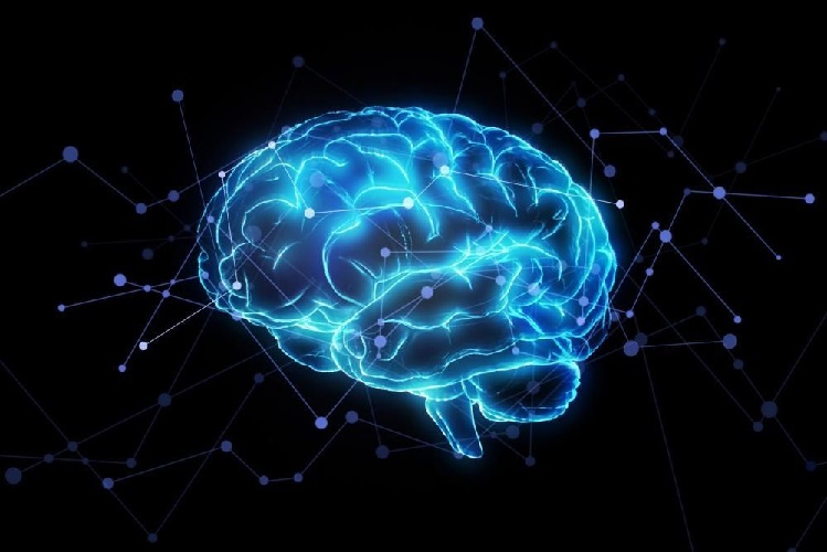 Brain Health Awareness Gap: What You Must Know Today
