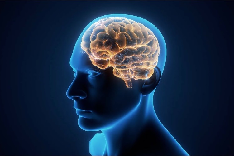 Brain Health Awareness Gap: Protect Your Mind Today