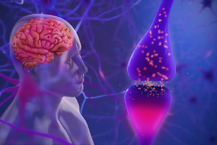 Deep Brain Therapy Helps Parkinson’s Patients Thrive