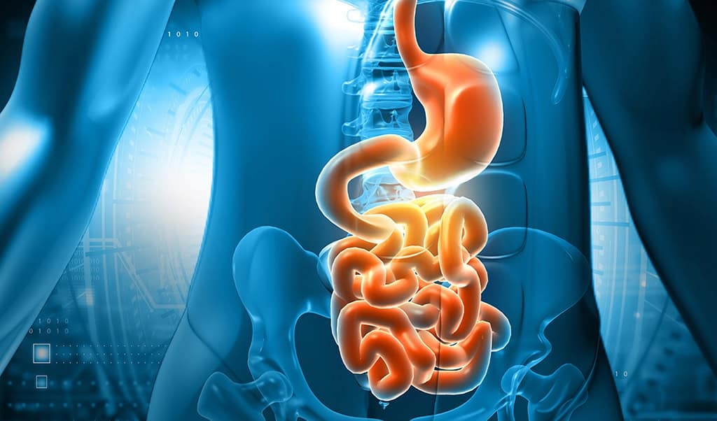 Blue digital anatomical view showing inflamed gut tissue and digestive tract in a crohn’s disease clinical trial.